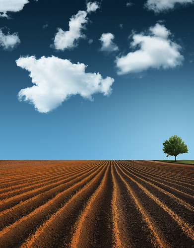 The Earth, The Sky And A Tree by Philipp Klinger Photography