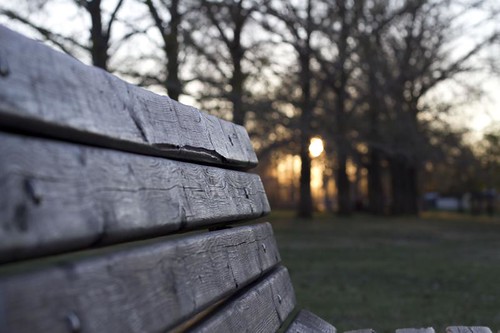Waiting by murdocke23, Grande Prairie, Alberta, Canadatrees sunset bench grandeprairie