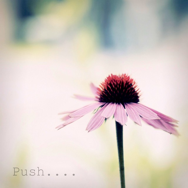 Push....