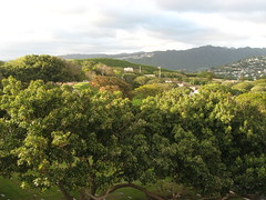 National Memorial Cemetery of the Pacific, Punchbowl Crater, Honolulu, Hawaii (25)