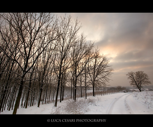 Path to the future [Wishing you all a super 2010!!!] by Luca Cesari Photography
