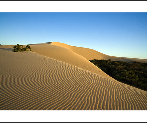 dunes by helenabraga