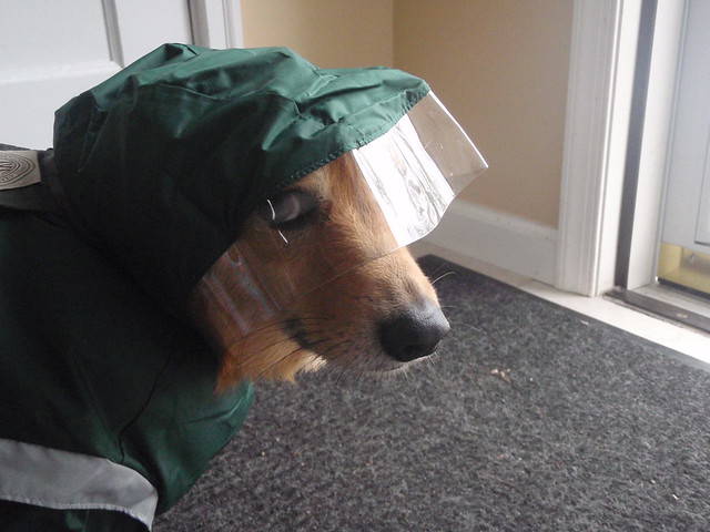 Ein/Raincoat Hood