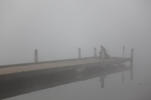 Fog at Lake Ginninderra | by LB McShutter