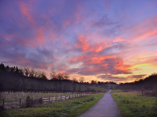 clouds pennsylvania chestercounty stroudpreserve