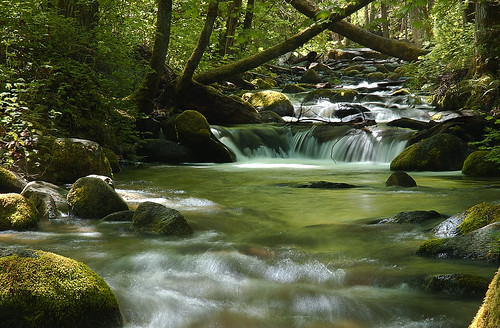 park green water oregon creek forest nikon stream ashland d1h lithia nikond1h kevinenglish ambientfocus