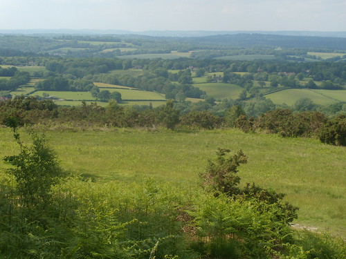 View from Ashdown Forest Ashurst Circular