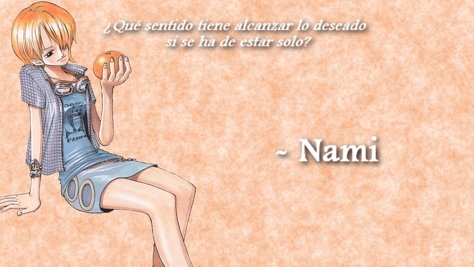 Amor One Piece