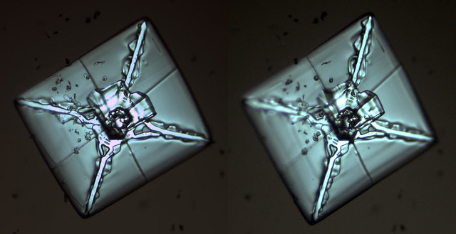 Square snowflake in cross polarized light