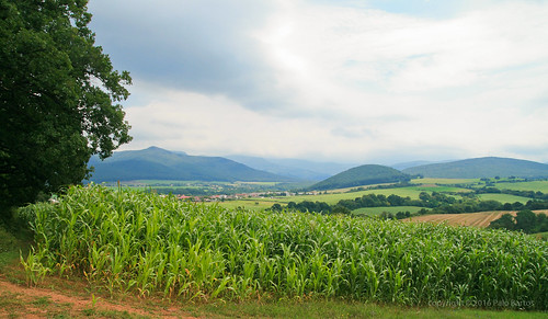 flickr horna ves horná slovakia slovensko fields pole landscape krajinka medzihorie corn kukurica summer leto sunny eu europe palo bartos bartoš canon