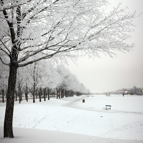 Winter in Uppsala by Ulf Bodin