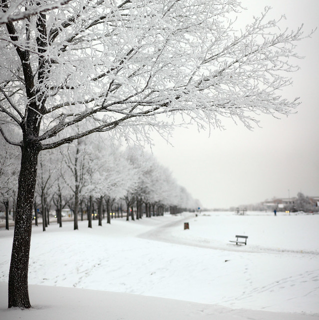 Winter in Uppsala