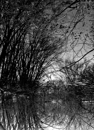 "All the leaves are brown and the sky is grey." On the way to Parry Spring - Wisconsin, Waterville - Autumn 2007_055-2 by Ilcaripawi
