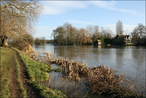 The Thames at Shiplake 