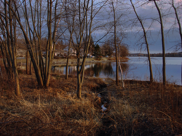 at the north side of Lake Quannapowitt; Wakefield, MA (2010)