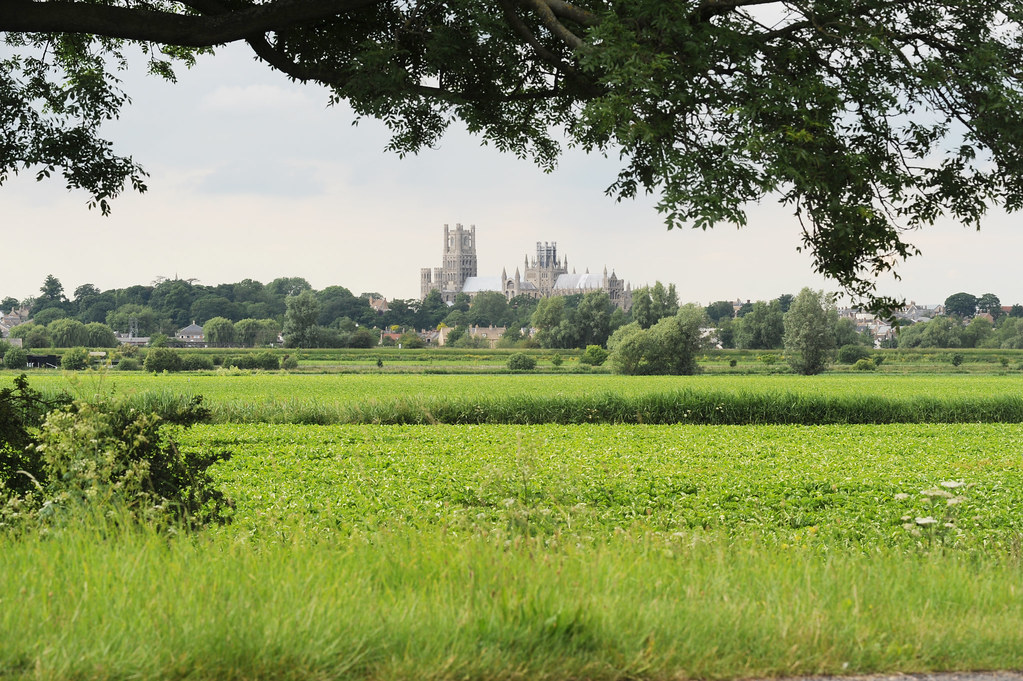 Stuntney Ely Cathedral from Stuntney | East Cambridgeshire is home to… | Flickr