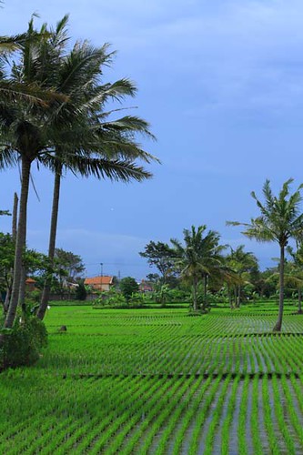landscape baleendah