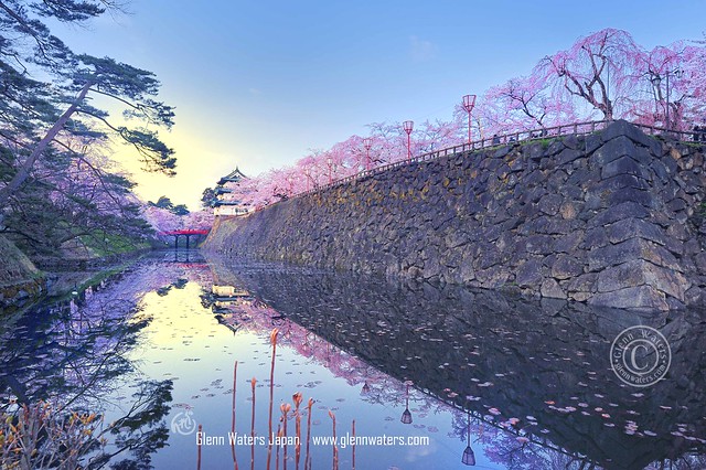 Hirosaki Castle in Spring. 弘前城 Over  17,000 visits to this photo. Thank you. © Glenn Waters. Japan.