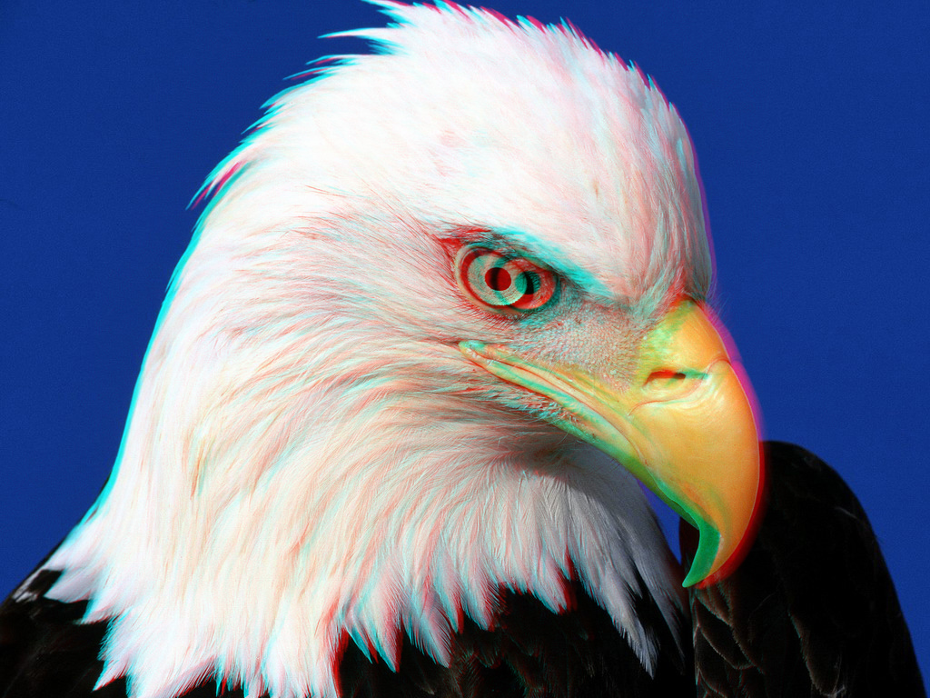 2D to 3D conversion | These pictures can be seen in 3D by us… | Flickr