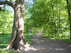 Path through Stony Run