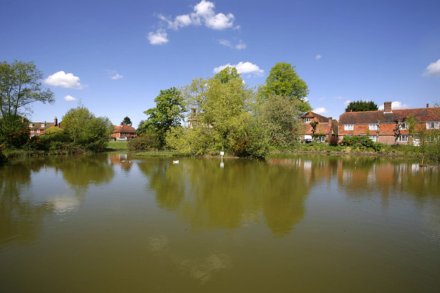Matfield village pond, kent.