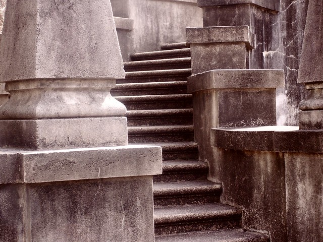 Swan steps