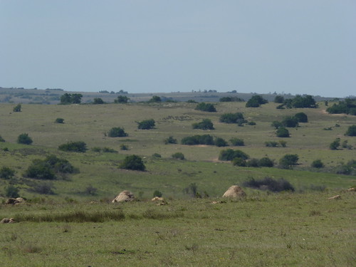 Port Elizabeth
