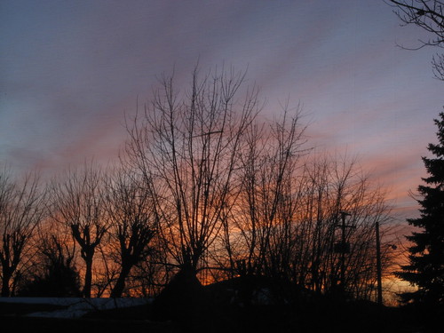 trees winter sunset ohio berlin window silhouette clouds dusk oh cirrus cirrusclouds centralohio