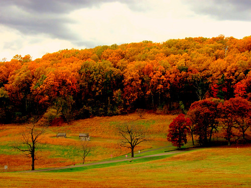 trees fall pennsylvania valleyforge cabins