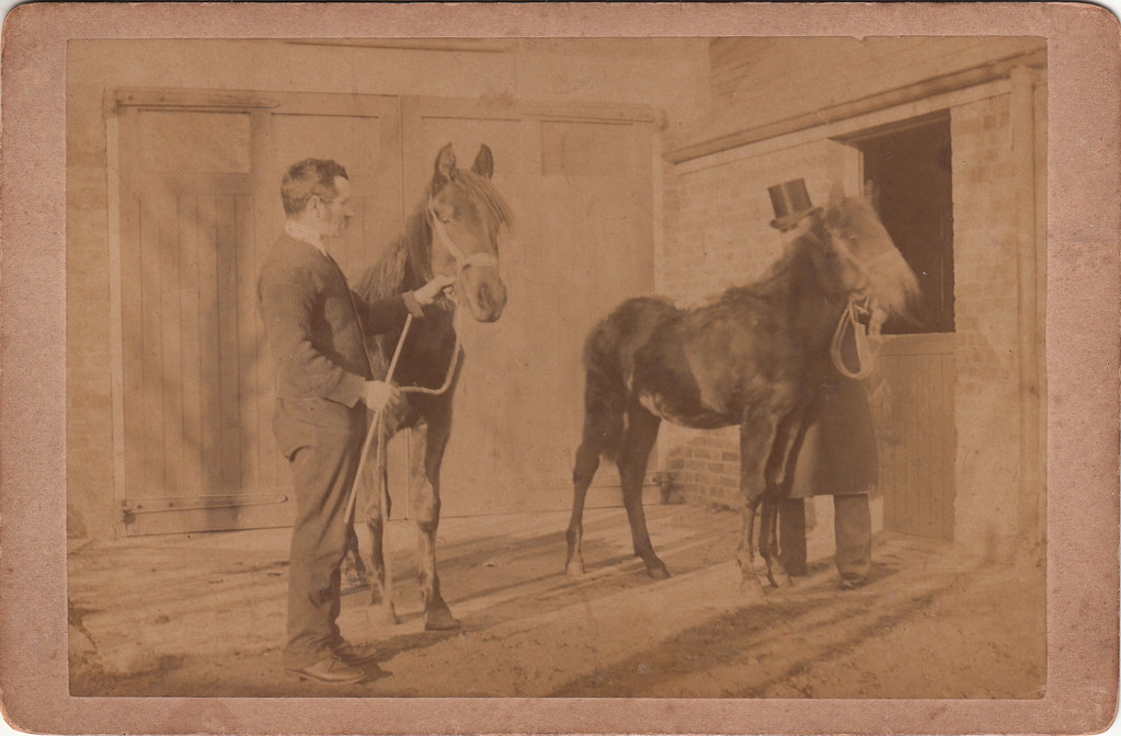The Stable