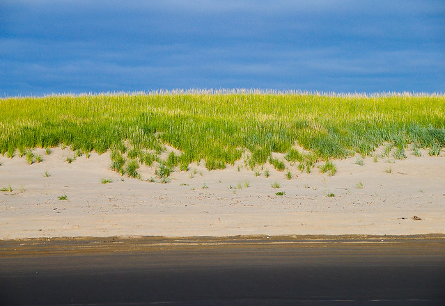 Sand, grass, and sky... 20090809_3514