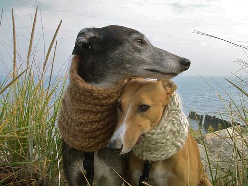 greyhound lake wool grass scarf michigan prairie evanston