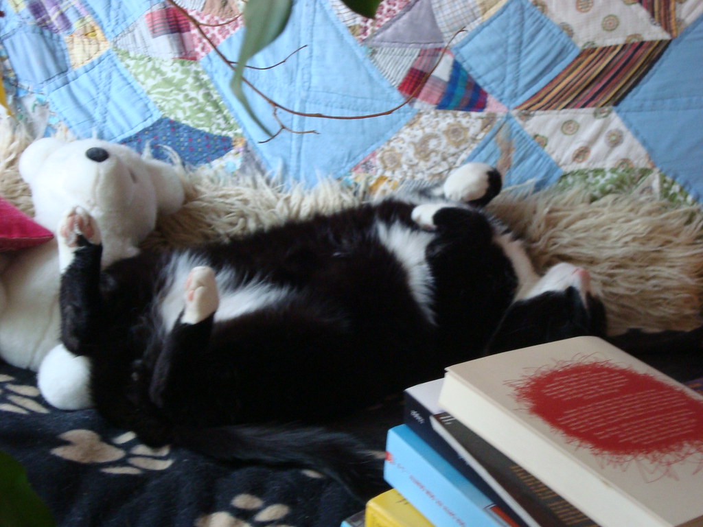Schnuffi schläft fest | My cat has funny ways to sleep... LO… | Flickr