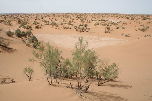 landscape desert morocco geography arid ecosystem