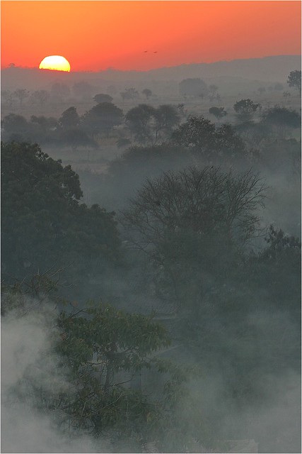 Inde du nord: il est 6h; le soleil se lève sur le Madhya Pradesh.