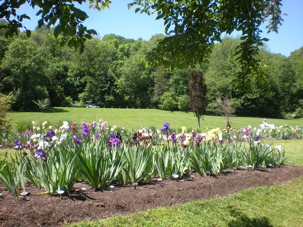 Presby Memorial Iris Gardens Upper Montclair Nj 18 Flickr
