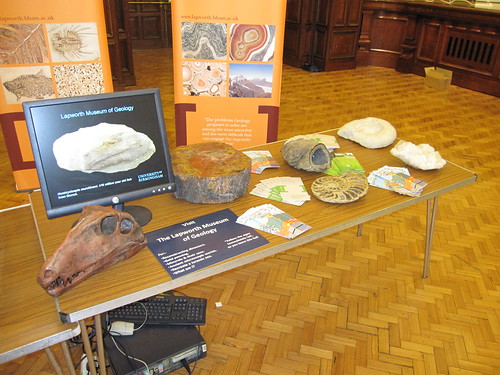 Display in the Great Hall