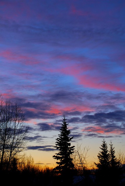 Alaska Anchorage Sunset In January
