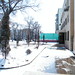 suny days after snowing night in 2 sequence: Masheng with me.