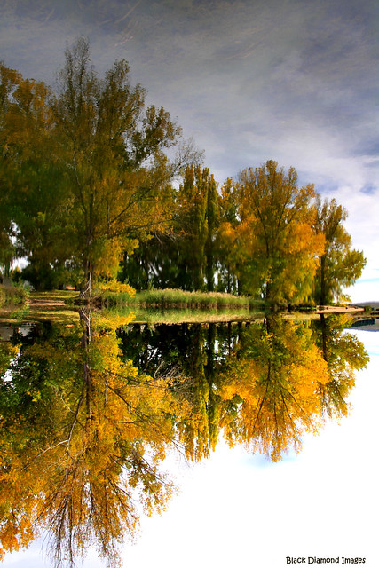 Dalgety Weir Reflections