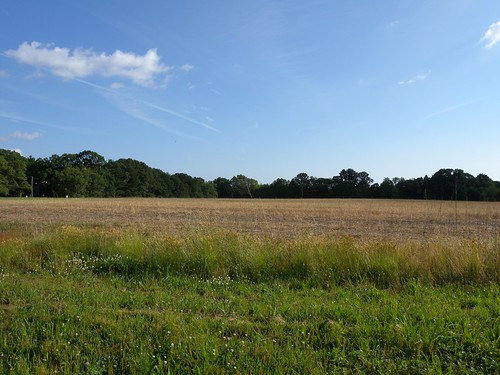 field landscape glassboro