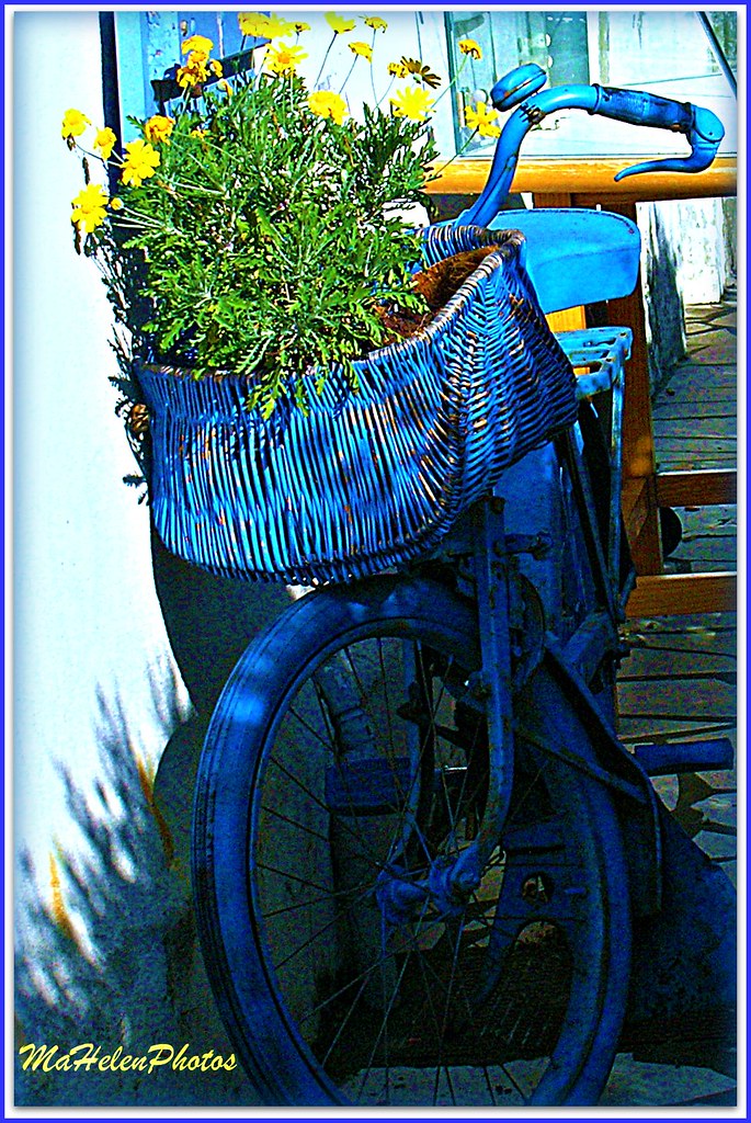 la bicyclette bleue machecoul