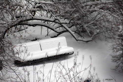 light shadow white snow tree berlin nature germany bench landscape canoneos20d spotlight explore snowing 2009 brazzouk