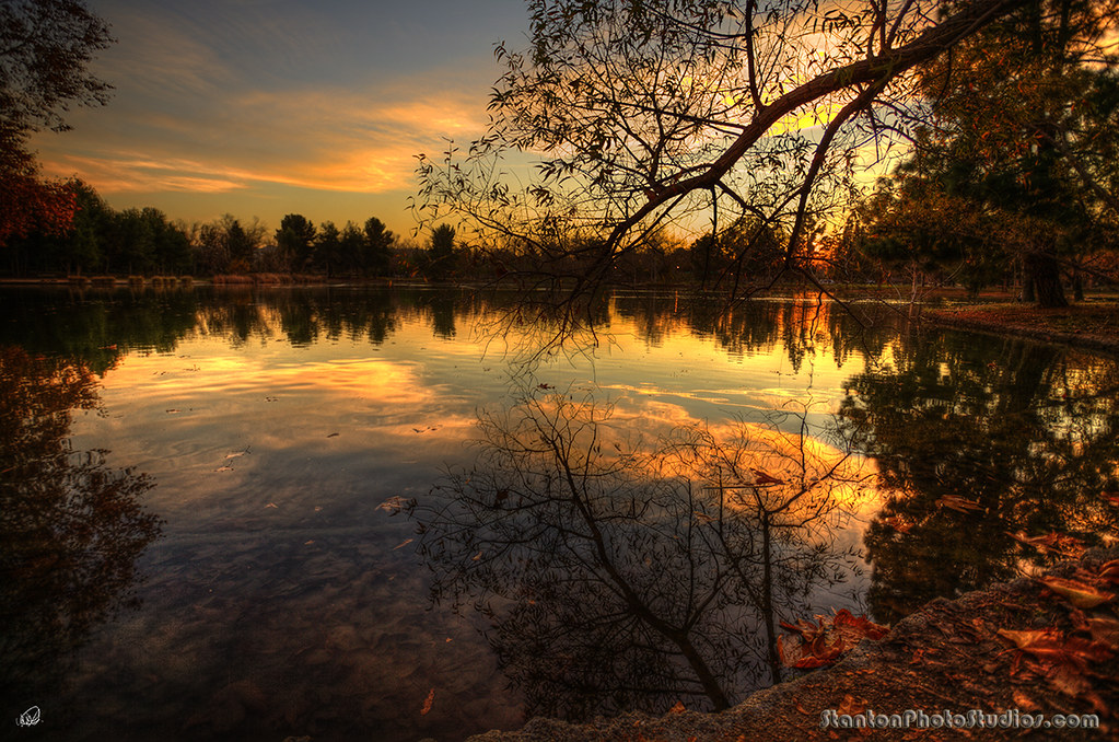 Golden Hour on duck pond - over 1000 comments! Yippeeee! by StanfordSumi