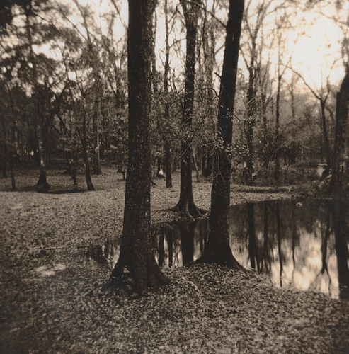 backyard_lith15 | by film addict