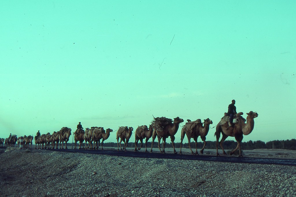 Silk Road 1992