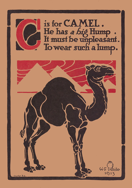C is for Camel illustrated by W.F. White