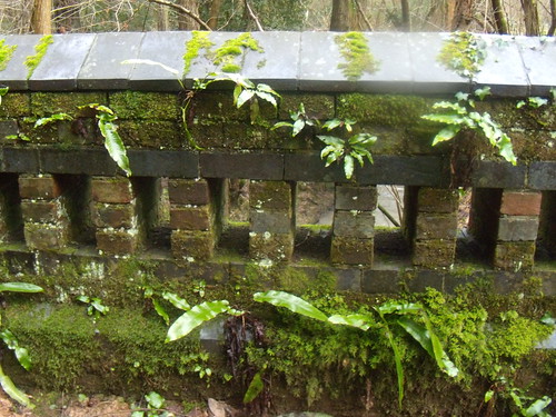 Tropical bridge Witley to Haslemere