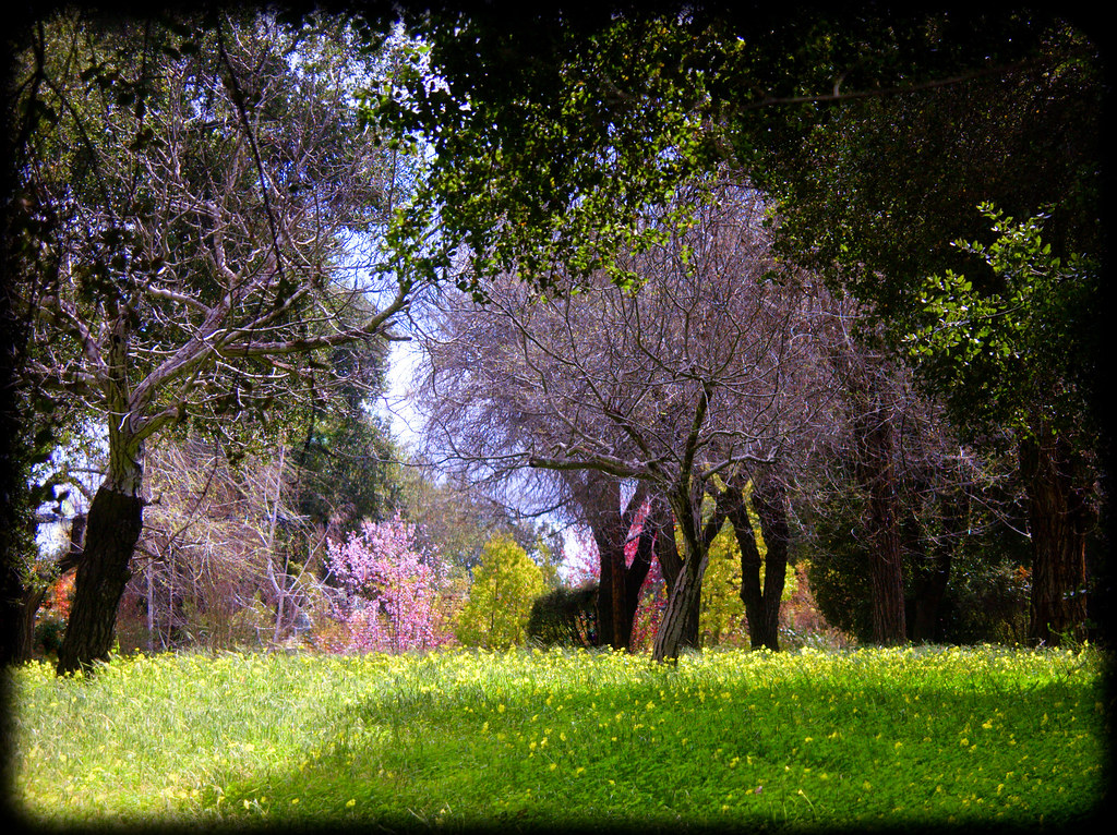 home and gardening