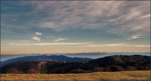 ~~La vue sur la chaine des Alpes depuis le Ballon D'Alsace dans les Vosges~~ by Joélisa